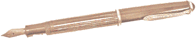 Pen
