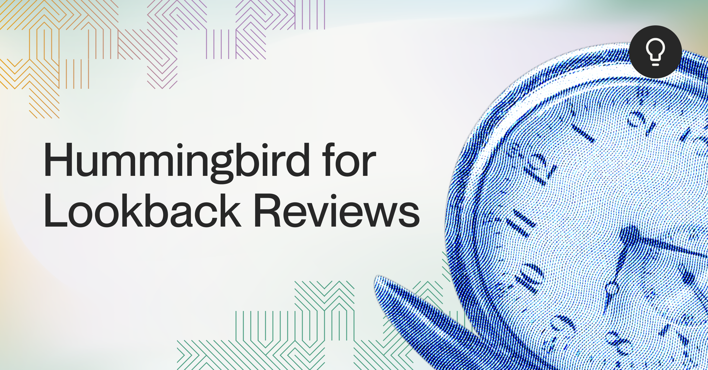 Hummingbird for Lookback Reviews