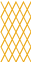 Shape