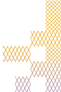 Shape